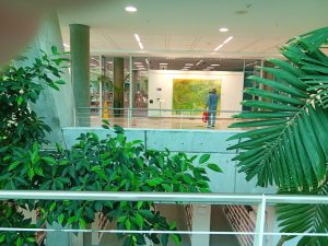 photo of art in building
